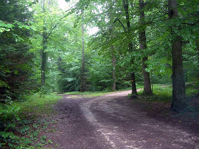 Le colline prodigiose della valle del Leimental